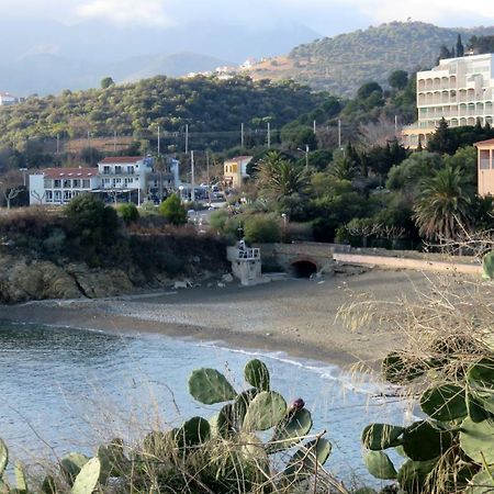 Les Pieds Dans L'Eau Διαμέρισμα Banyuls-sur-Mer Εξωτερικό φωτογραφία