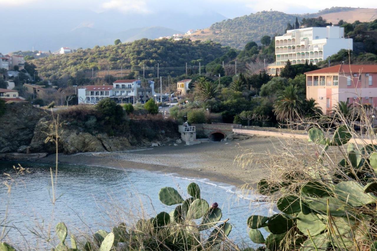 Les Pieds Dans L'Eau Διαμέρισμα Banyuls-sur-Mer Εξωτερικό φωτογραφία